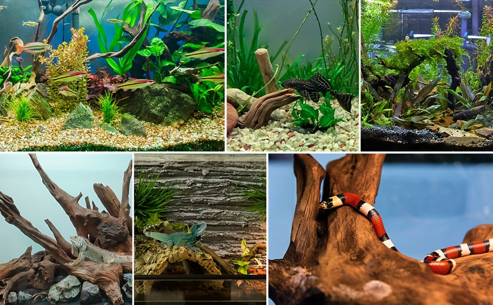 Bois flotté naturel à couler pour décoration d'aquarium – Lot de 3 grandes pièces en bois véritable pour aquarium d'eau douce, reptile et terrarium, bois flotté de teck violet sans danger pour les poissons