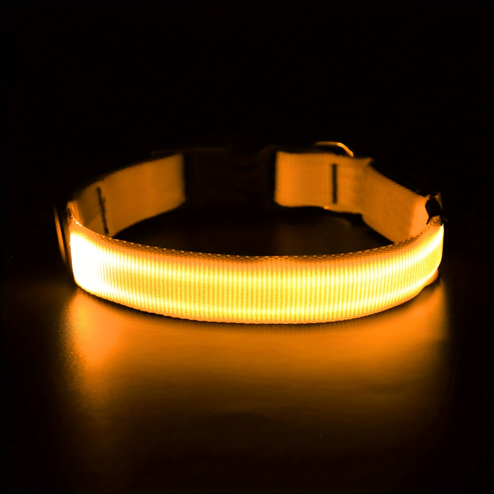 Collier lumineux pour chien à LED, rechargeable par USB - Collier de sécurité ajustable en nylon avec boucle en D pour petits, moyens et grands chiens, haute visibilité pour les promenades nocturnes