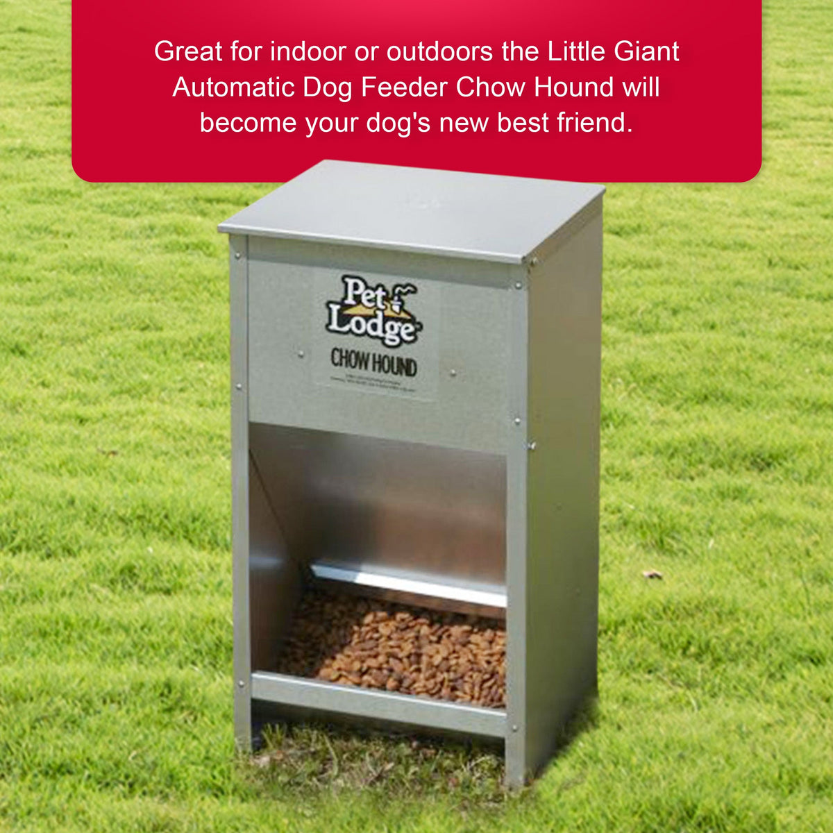 Distributeur automatique pour chien Pet Lodge 25 lb - Distributeur par gravité en acier galvanisé avec porte aimantée et goulotte inclinée, résistant à la mastication et à la rouille, montage mural pour intérieur et extérieur, argent