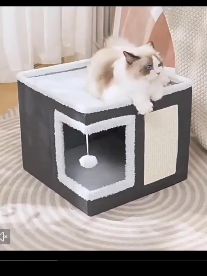 Maison à étages pour chat avec lit à 2 niveaux, tunnel de jeu, griffoir pliable et tapis douillet – Condo d'intérieur pour chat toutes saisons avec balle suspendue en peluche, cadre en nylon et toile, design pliable