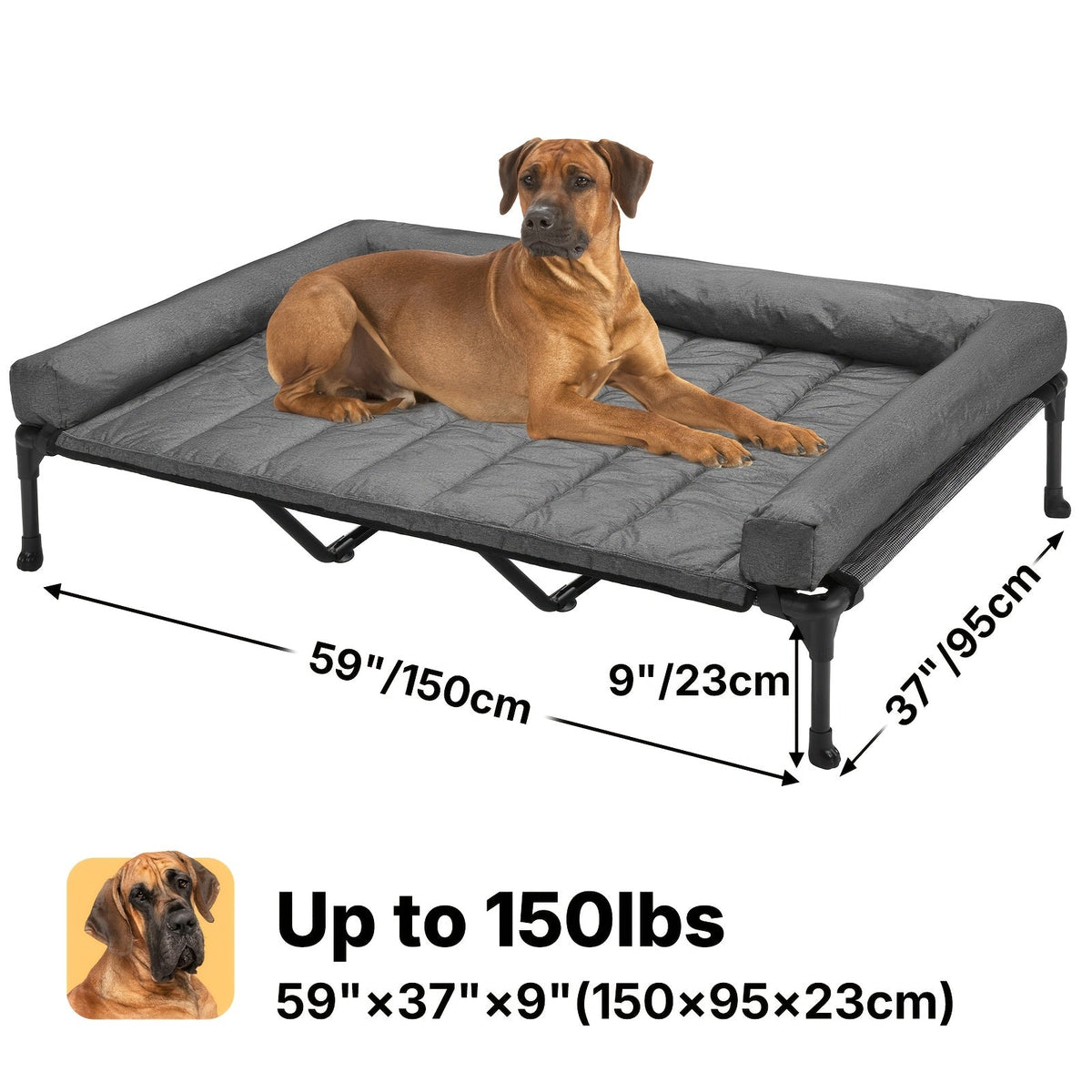 Lit surélevé rafraîchissant pour chien avec matelas amovible – Canapé pour chien surélevé avec rebords, filet respirant et pieds antidérapants pour une utilisation en intérieur et en extérieur