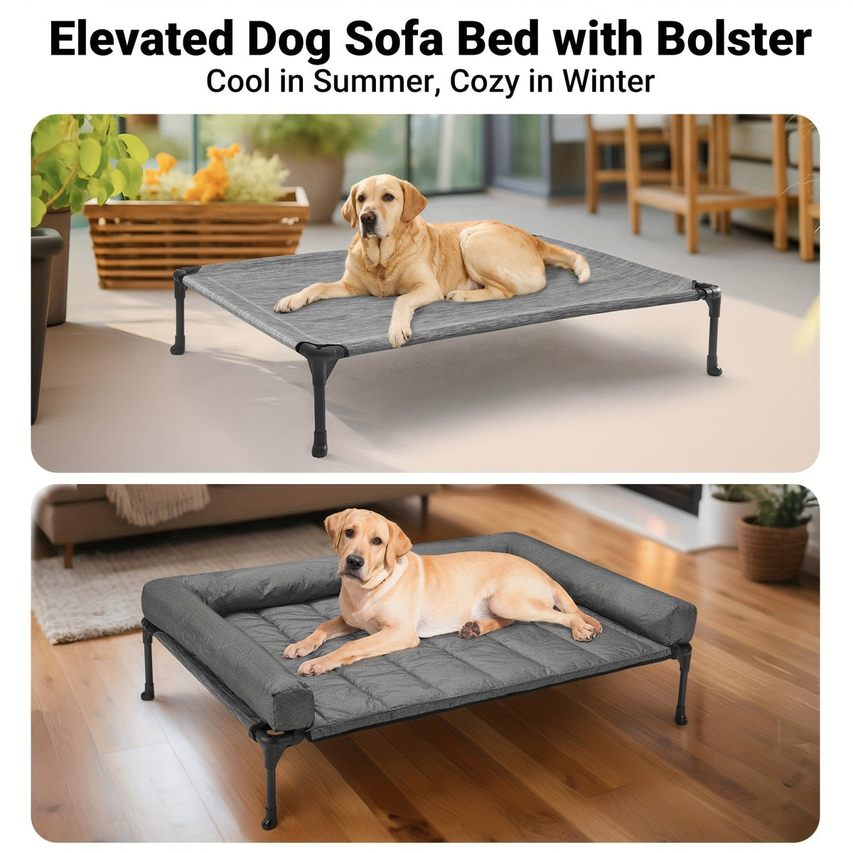 Lit surélevé rafraîchissant pour chien avec matelas amovible – Canapé pour chien surélevé avec rebords, filet respirant et pieds antidérapants pour une utilisation en intérieur et en extérieur