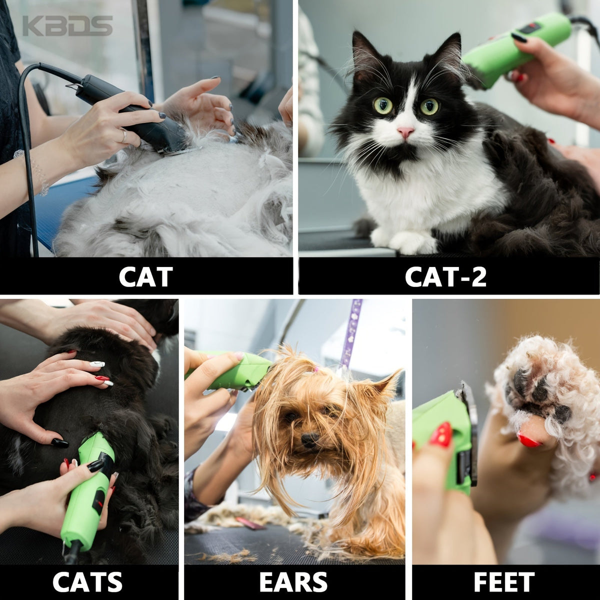 Tête de coupe en céramique amovible pour tondeuse pour animaux n° 10 - Acier à haute teneur en carbone, compatible avec les tondeuses Andis, Oster et A5 - Tête de coupe de rechange professionnelle pour toilettage canin (coupe 1/16 po / 1,5 mm)