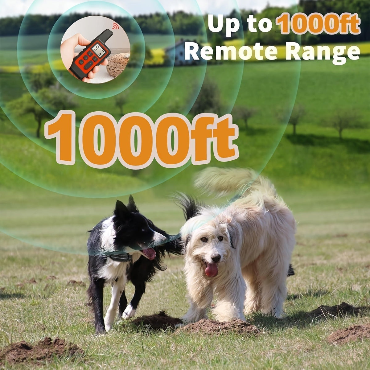 Collier de dressage pour chien à distance 9 niveaux – Collier électronique rechargeable avec modes décharge, vibration et signal sonore, portée de 500 m, réglable pour chiens de petite, moyenne et grande taille, contrôle anti-aboiement électronique sûr