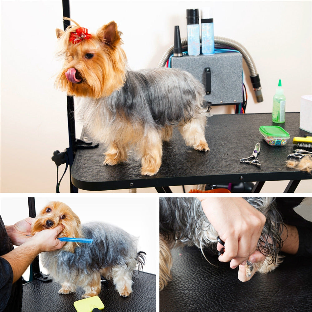 Table de toilettage pliable pour chiens et chats , bras réglable en hauteur avec surface antidérapante et imperméable et pieds pliants, station de beauté pour animaux portable pour la maison et les professionnels