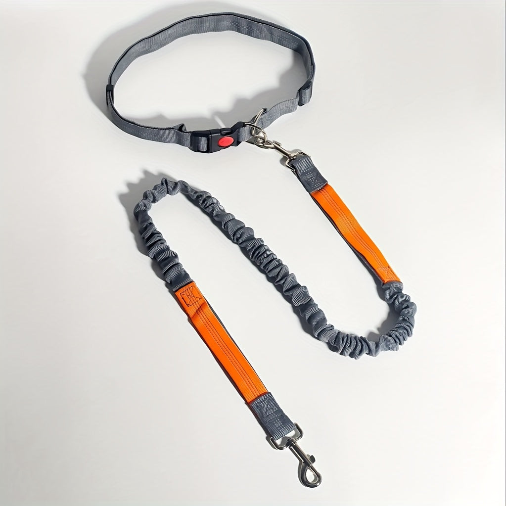 Laisse élastique pour chien, idéale pour la course – Laisse de course mains libres avec extension pour sports en plein air et promenades, laisse multifonctionnelle avec amortisseur, disponible en 5 couleurs pour les propriétaires actifs
