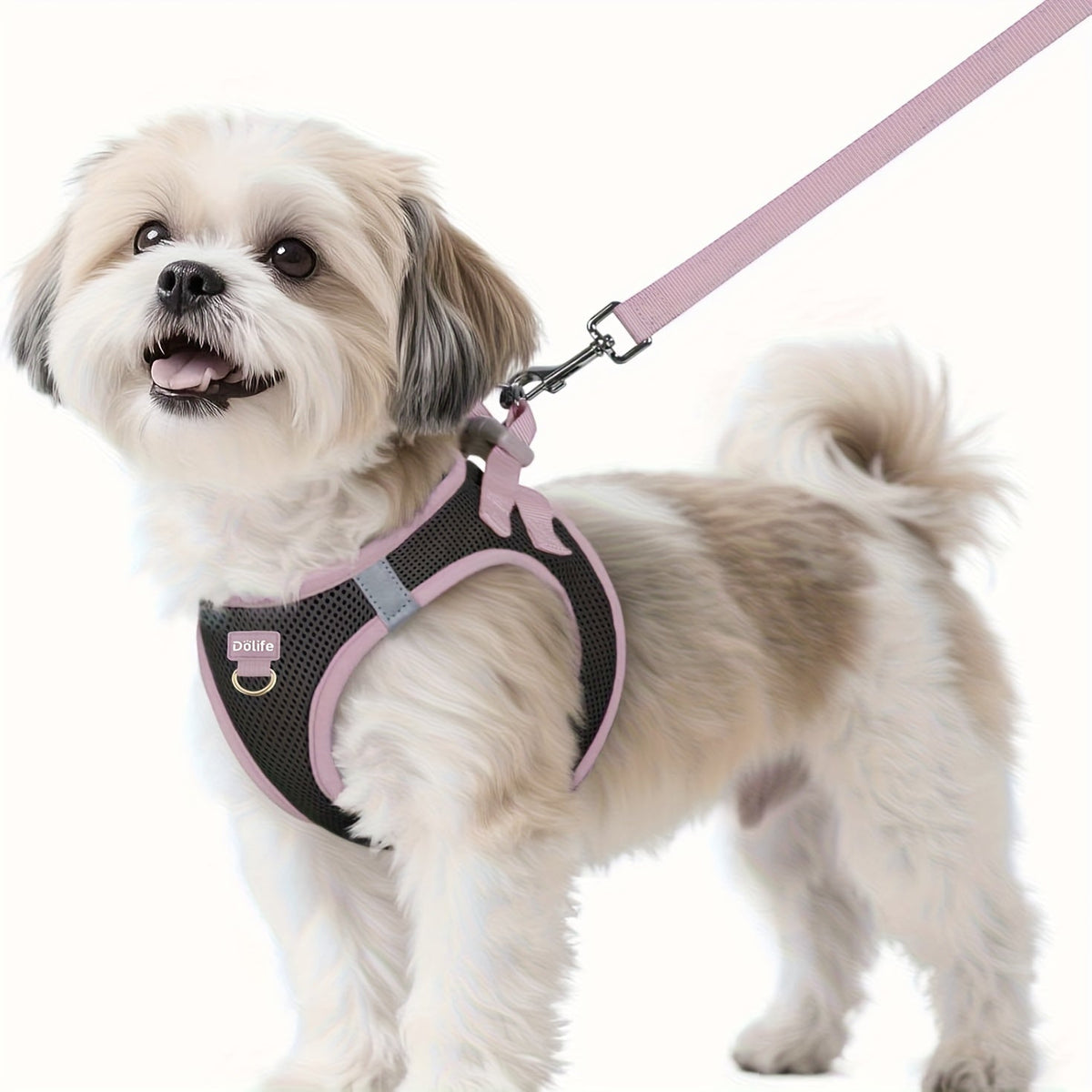 Ensemble harnais et laisse pour petits chiens - Harnais gilet doux et respirant pour chiot avec bandes réfléchissantes de nuit, harnais pour animaux facile à mettre et lavable en machine pour petites races