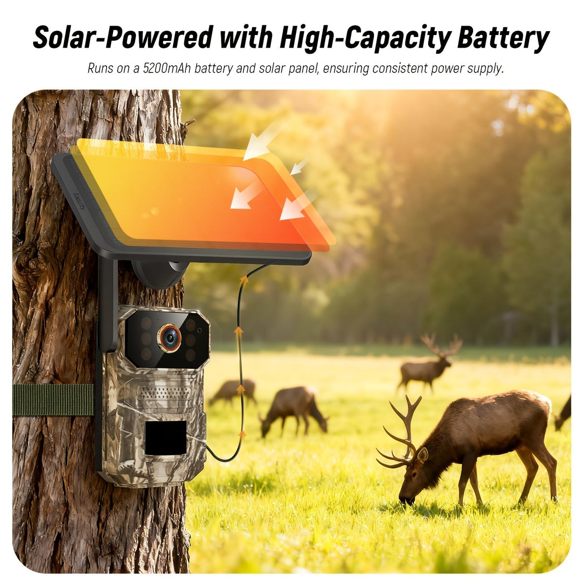 Caméra de chasse solaire 4G LTE 1920P HD – Caméra animalière cellulaire avec capteur de mouvement PIR, vision nocturne infrarouge, audio bidirectionnel, accès à distance, sans Wi-Fi requis, étanchéité IP65, alimentation solaire