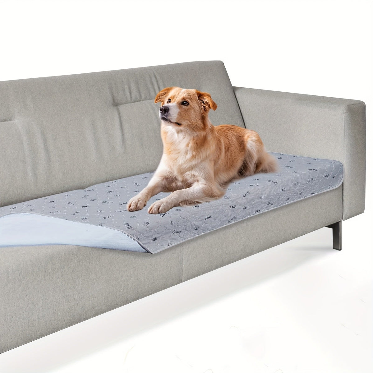 Alèses lavables et réutilisables pour chien avec motif os – Alèses d'entraînement pour chiot antidérapantes, imperméables et absorbantes, tapis de mise bas lavables en machine pour canapé, cage, parc et apprentissage de la propreté, plusieurs tailles