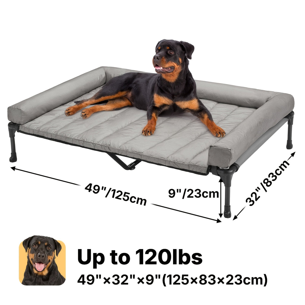 Lit surélevé rafraîchissant pour chien avec matelas amovible – Canapé pour chien surélevé avec rebords, filet respirant et pieds antidérapants pour une utilisation en intérieur et en extérieur