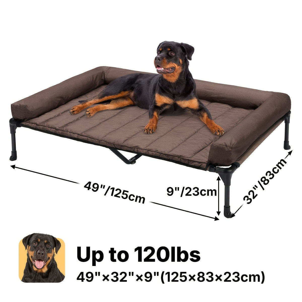 Lit surélevé rafraîchissant pour chien avec matelas amovible – Canapé pour chien surélevé avec rebords, filet respirant et pieds antidérapants pour une utilisation en intérieur et en extérieur