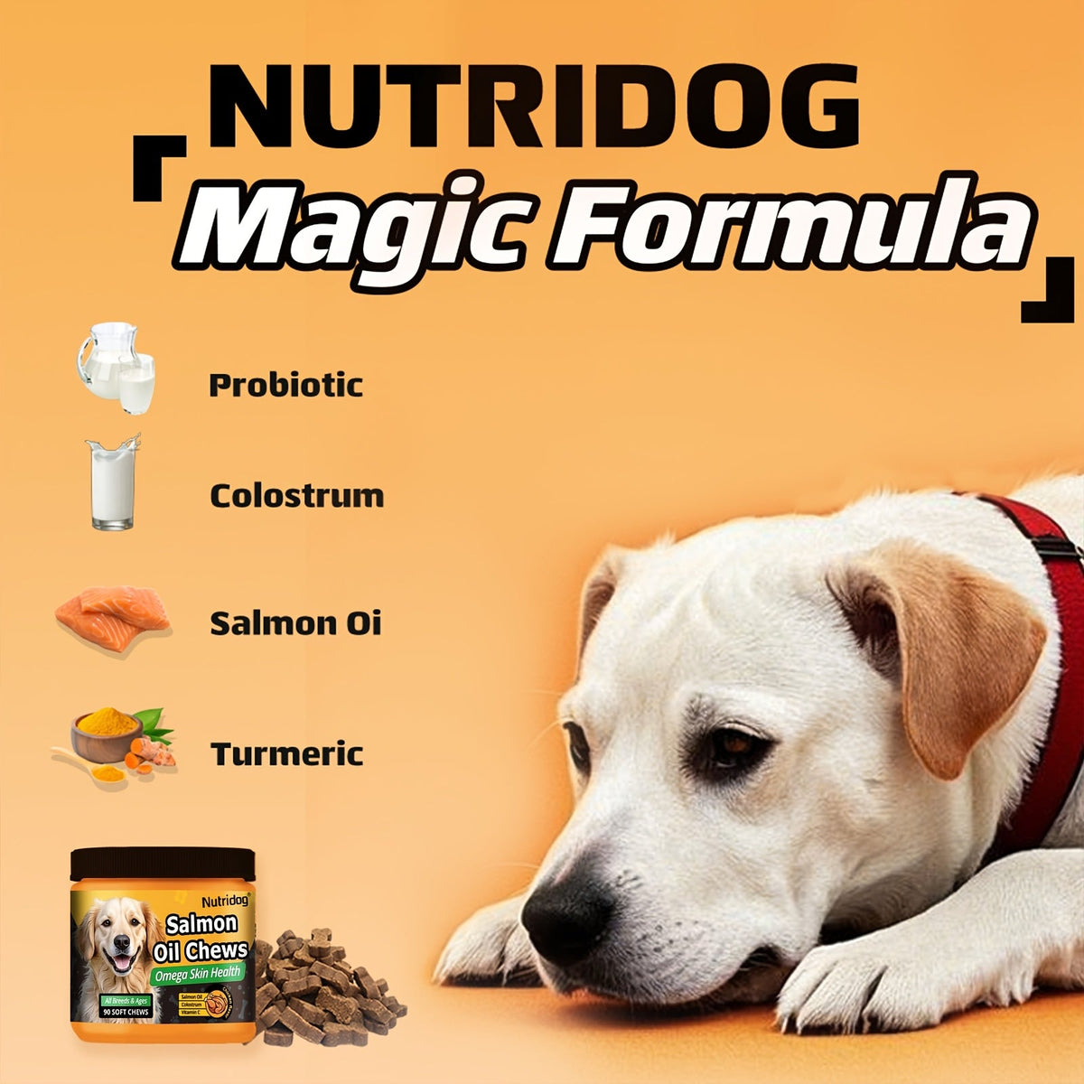 Complément nutritionnel pour chiens en bouchées tendres, 90 unités, aux probiotiques et huile de saumon, goût poulet - Soutient la santé du pelage, la santé intestinale et l'immunité pour les chiens de tous âges, 225 g