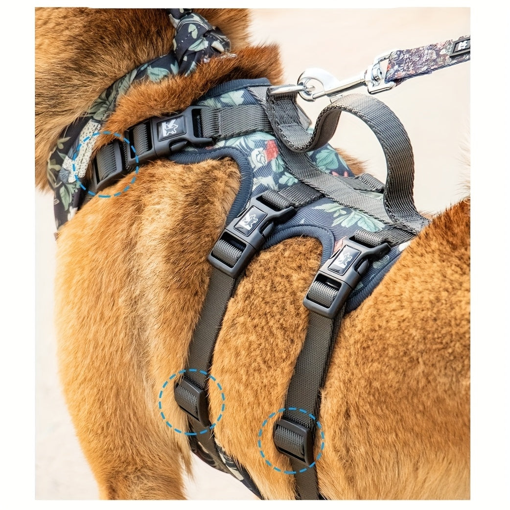 Harnais, laisse et collier réglables pour chien – Équipement de promenade doux et respirant pour races de petite à grande taille, tailles S M L, choix individuel du harnais / collier / laisse / bandana, équipement de promenade sécurisé en extérieur