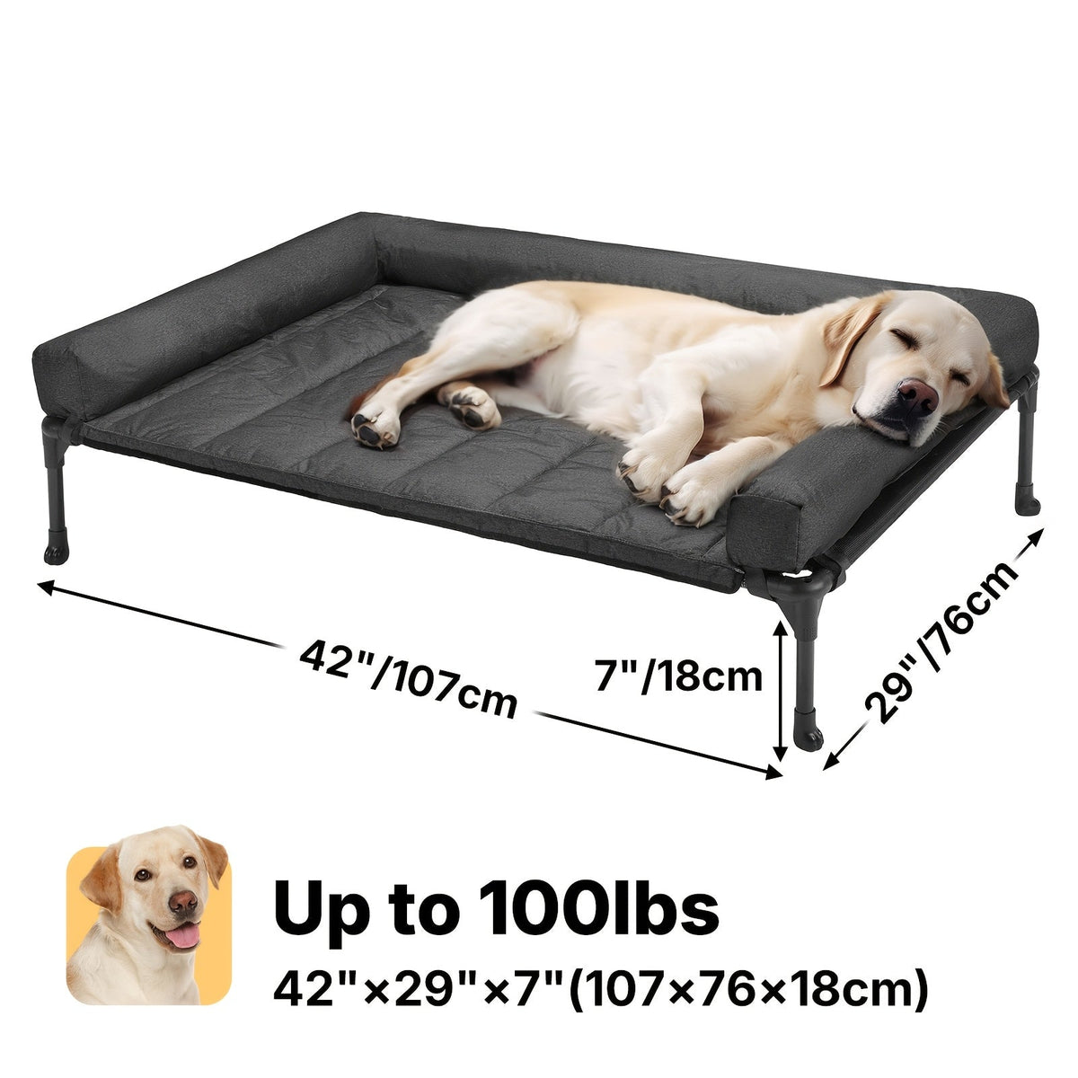 Lit surélevé rafraîchissant pour chien avec matelas amovible – Canapé pour chien surélevé avec rebords, filet respirant et pieds antidérapants pour une utilisation en intérieur et en extérieur