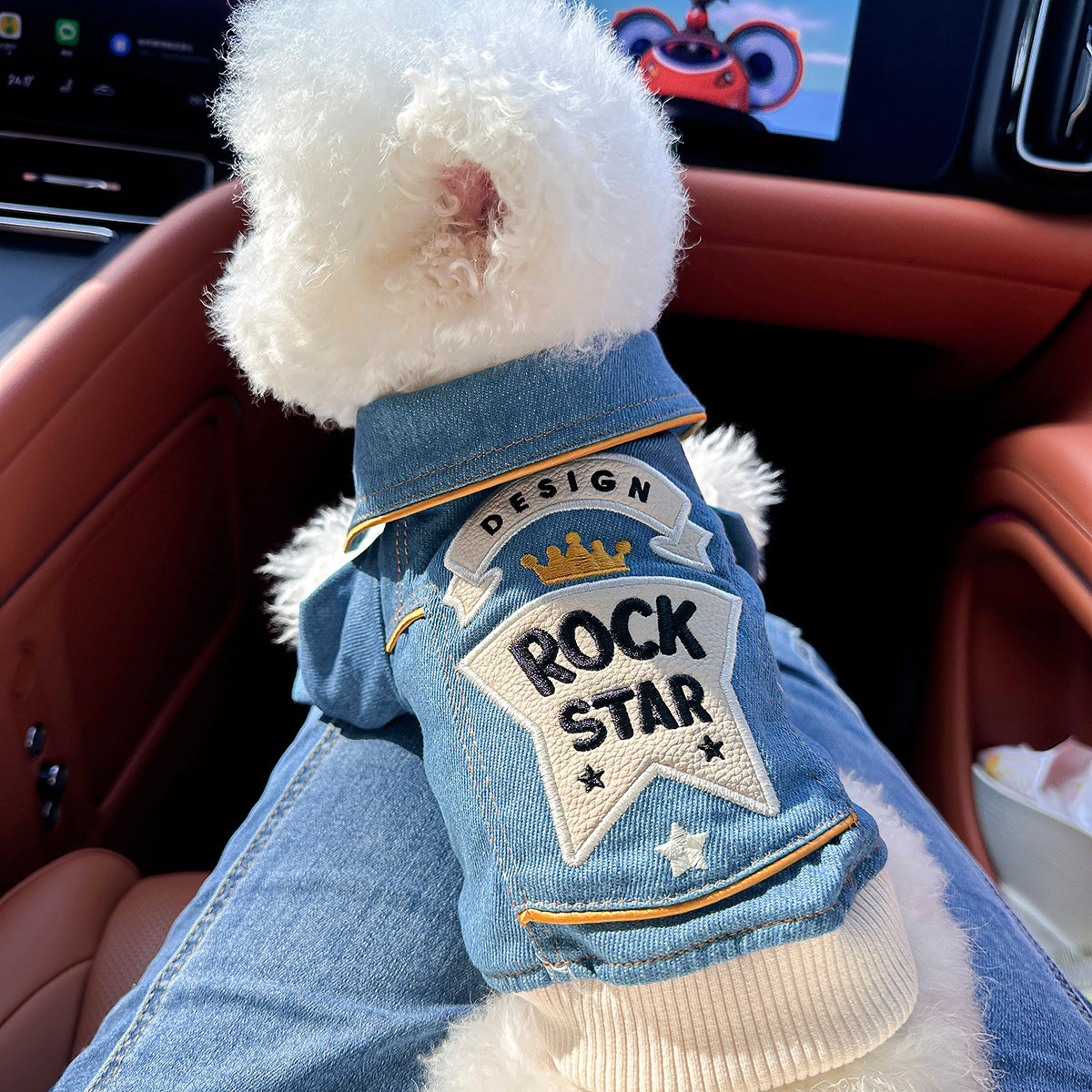 Veste en jean style rock pour petit chien – Vêtement décontracté imitation jean pour petits chiens, veste streetwear confortable de la taille XS à XL, tenue tendance bleue pour le quotidien et les sorties.