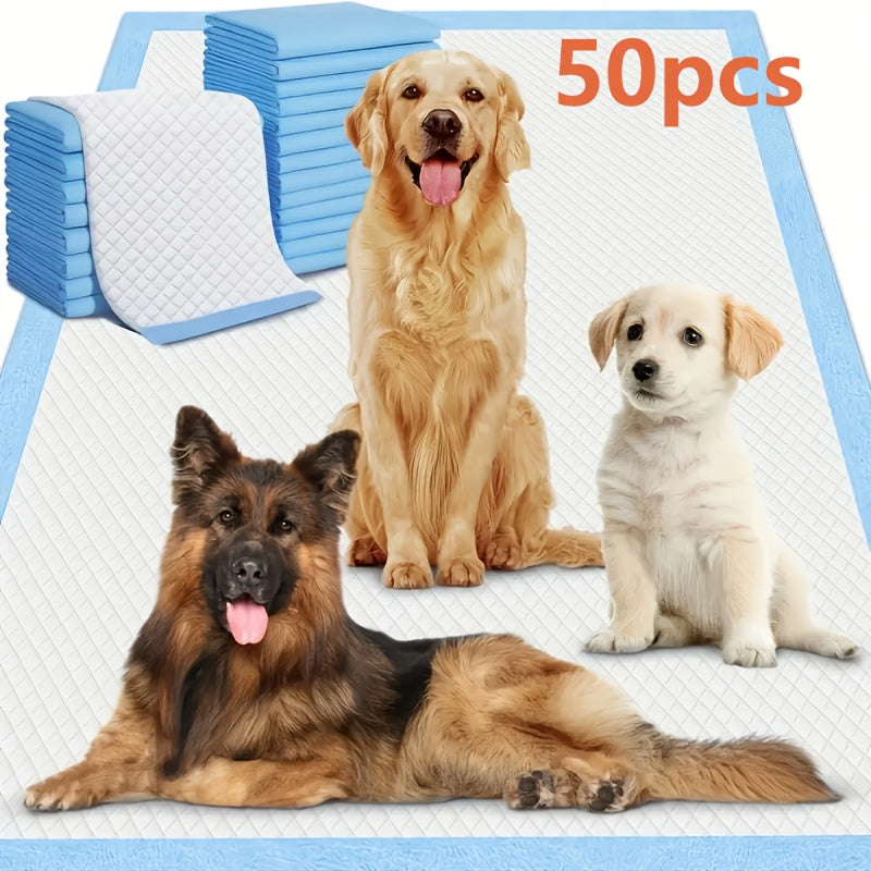 Alèses de dressage pour chiens extra larges jetables 60x60 cm, anti-fuites, anti-odeurs, absorbantes, pour chiots, accessoires pour la propreté, paquet de 50, 100 ou 200