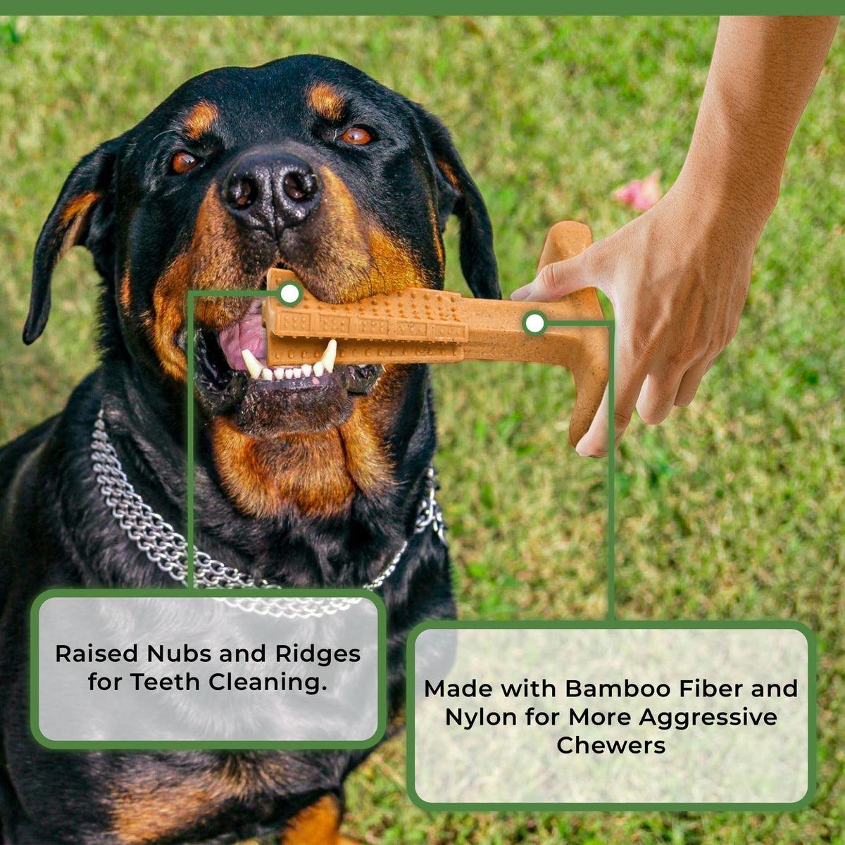 Jouet à mâcher dentaire pour chien en forme de T – Jouet à mâcher durable en plastique anti-éclats avec crêtes texturées et prise ergonomique pour mâcheurs agressifs, chiots en période de dentition et chiens adultes, jouet de nettoyage dentaire pour chien