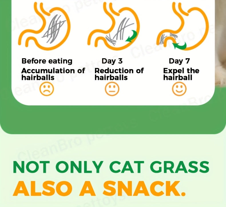 Comprimés lyophilisés d'herbe à chat pour le contrôle des boules de poils – Bâtonnets et granulés naturels à la menthe pour le soin des dents, friandises pour chat au poulet pour la santé dentaire et l'élimination des poils