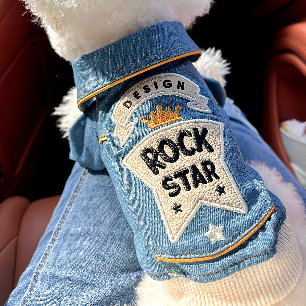 Veste en jean style rock pour petit chien – Vêtement décontracté imitation jean pour petits chiens, veste streetwear confortable de la taille XS à XL, tenue tendance bleue pour le quotidien et les sorties.