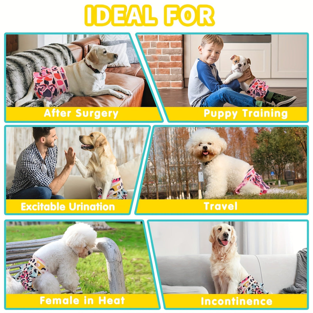 Washable Female Dog Diapers 3 Pack Reusable Highly Absorbent β Dog Period Panties for Female Dogs in Heat Incontinence & Puppy Training XS to L