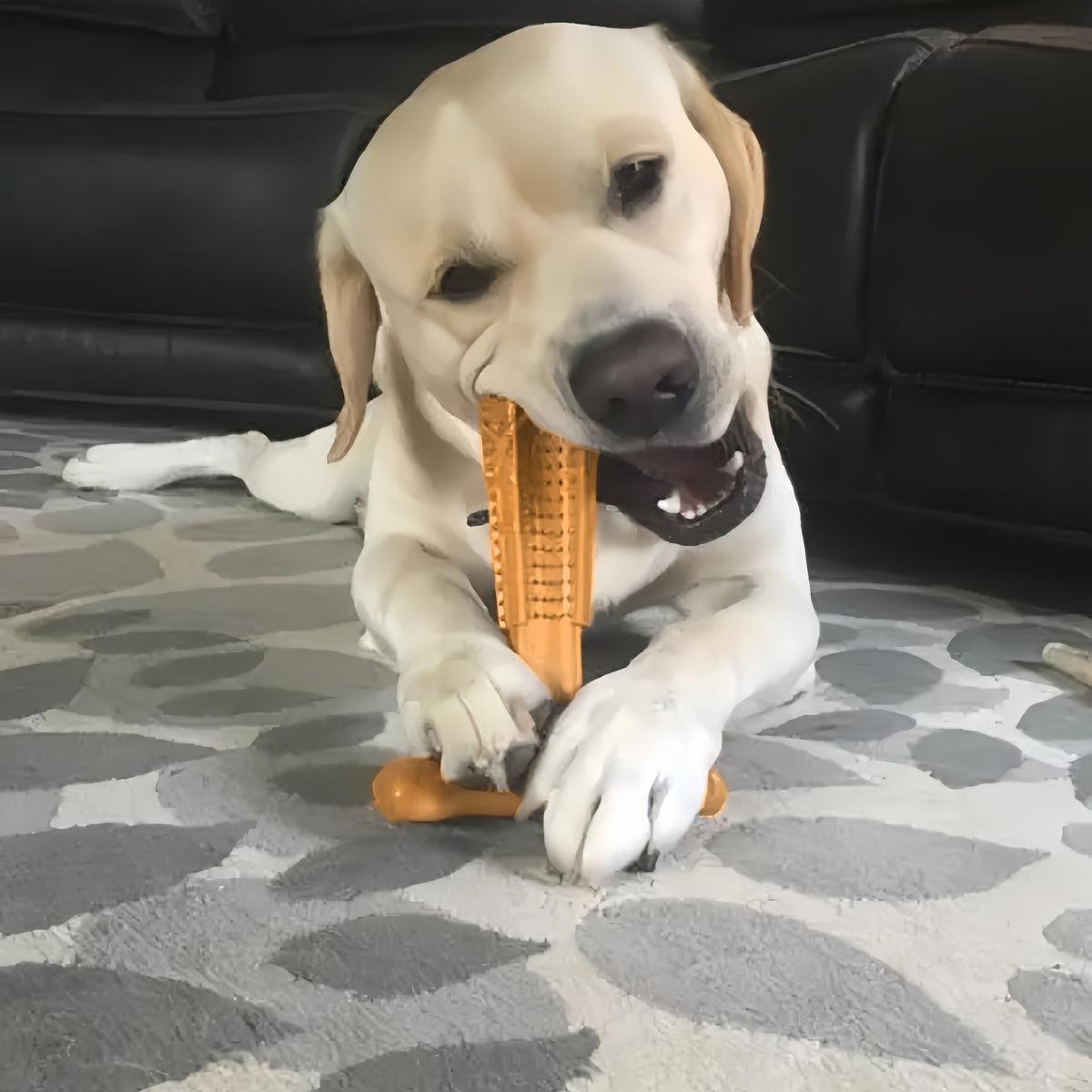 Jouet à mâcher dentaire pour chien en forme de T – Jouet à mâcher durable en plastique anti-éclats avec crêtes texturées et prise ergonomique pour mâcheurs agressifs, chiots en période de dentition et chiens adultes, jouet de nettoyage dentaire pour chien