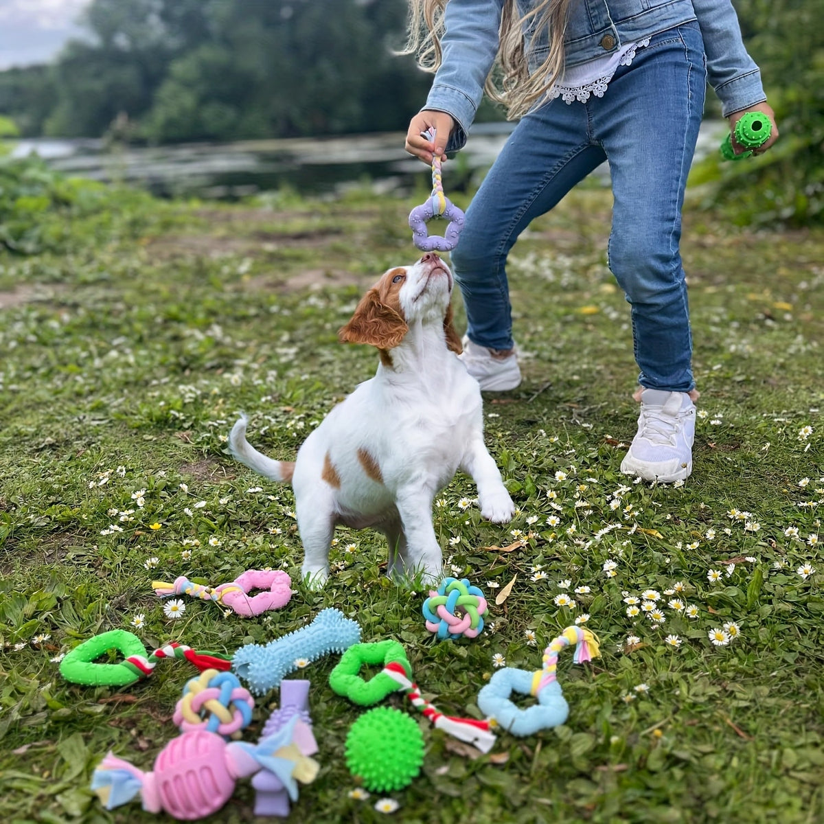 Jouets à mâcher souples en caoutchouc pour chien, lot de 6 – Jouets de dentition pour petits chiens, ensemble interactif de nettoyage des dents, 4 couleurs : violet, vert, bleu, rose