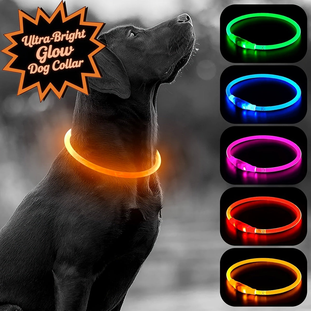 Collier pour chien à LED rechargeable par USB – Collier de sécurité lumineux à 360° avec 3 modes, réglable et découpable en TPU pour chiens de petite, moyenne et grande taille, idéal pour les promenades nocturnes, la course et la chasse
