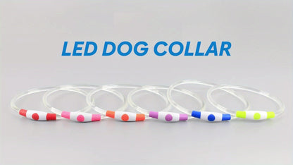 Collier pour chien à LED rechargeable par USB – Collier de sécurité lumineux à 360° avec 3 modes, réglable et découpable en TPU pour chiens de petite, moyenne et grande taille, idéal pour les promenades nocturnes, la course et la chasse
