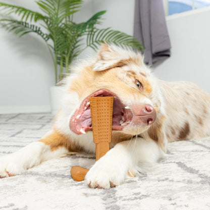 Durable Dog Chew Toy T-Shape – Non-Breakable Textured Gum Toy with Ergonomic Grip for Aggressive Chewers, Puppies & Adult Dogs, Tough Plastic Teeth Cleaning Chew