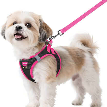Ensemble harnais et laisse pour petits chiens - Harnais gilet doux et respirant pour chiot avec bandes réfléchissantes de nuit, harnais pour animaux facile à mettre et lavable en machine pour petites races