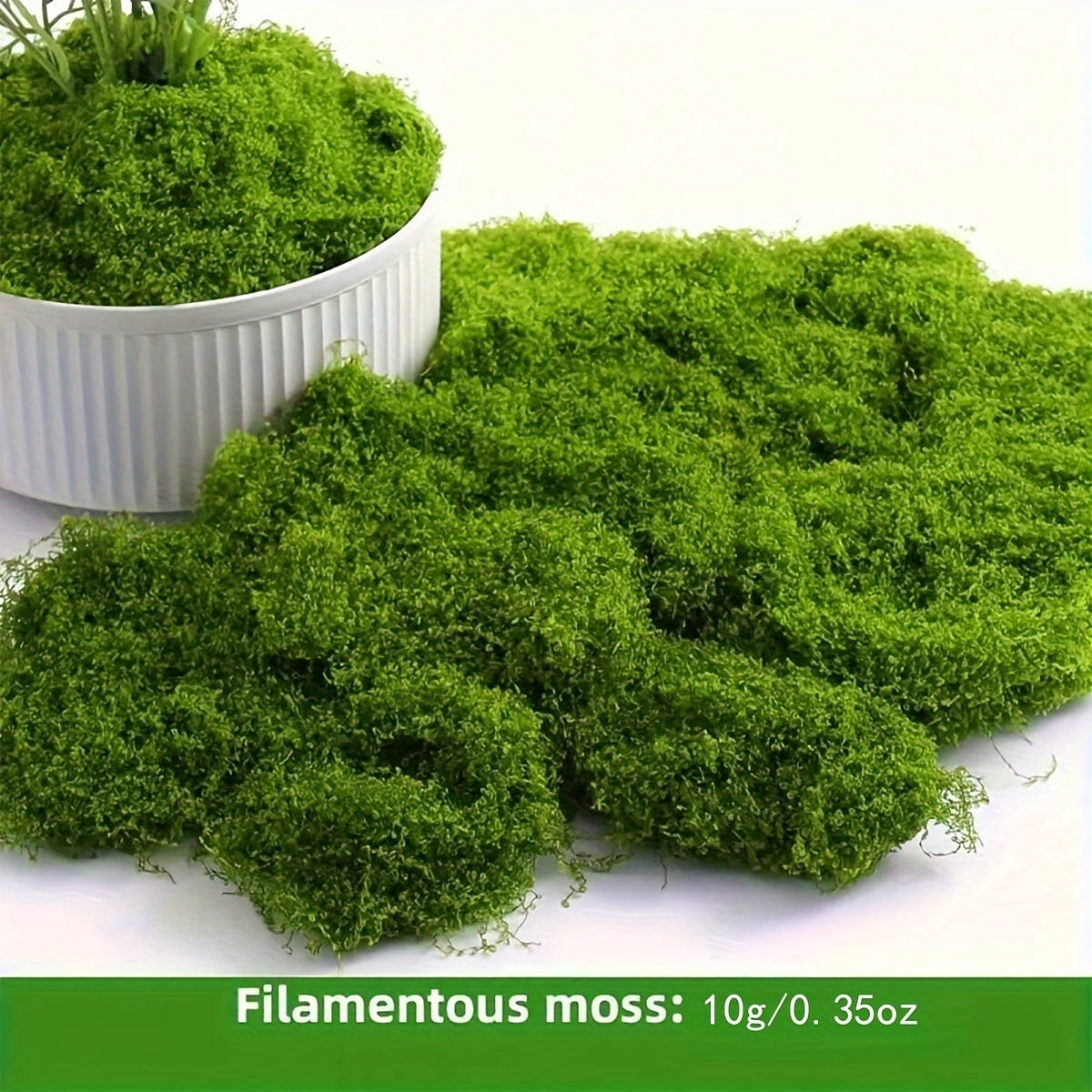 Mousse artificielle réaliste pour terrariums, miniatures et paysages - Fausse mousse pour plantes en pot, maisons de poupées, dioramas, modélisme ferroviaire, aquariums et écosystèmes miniatures, entretien facile, 4 tailles de 10 g à 100 g