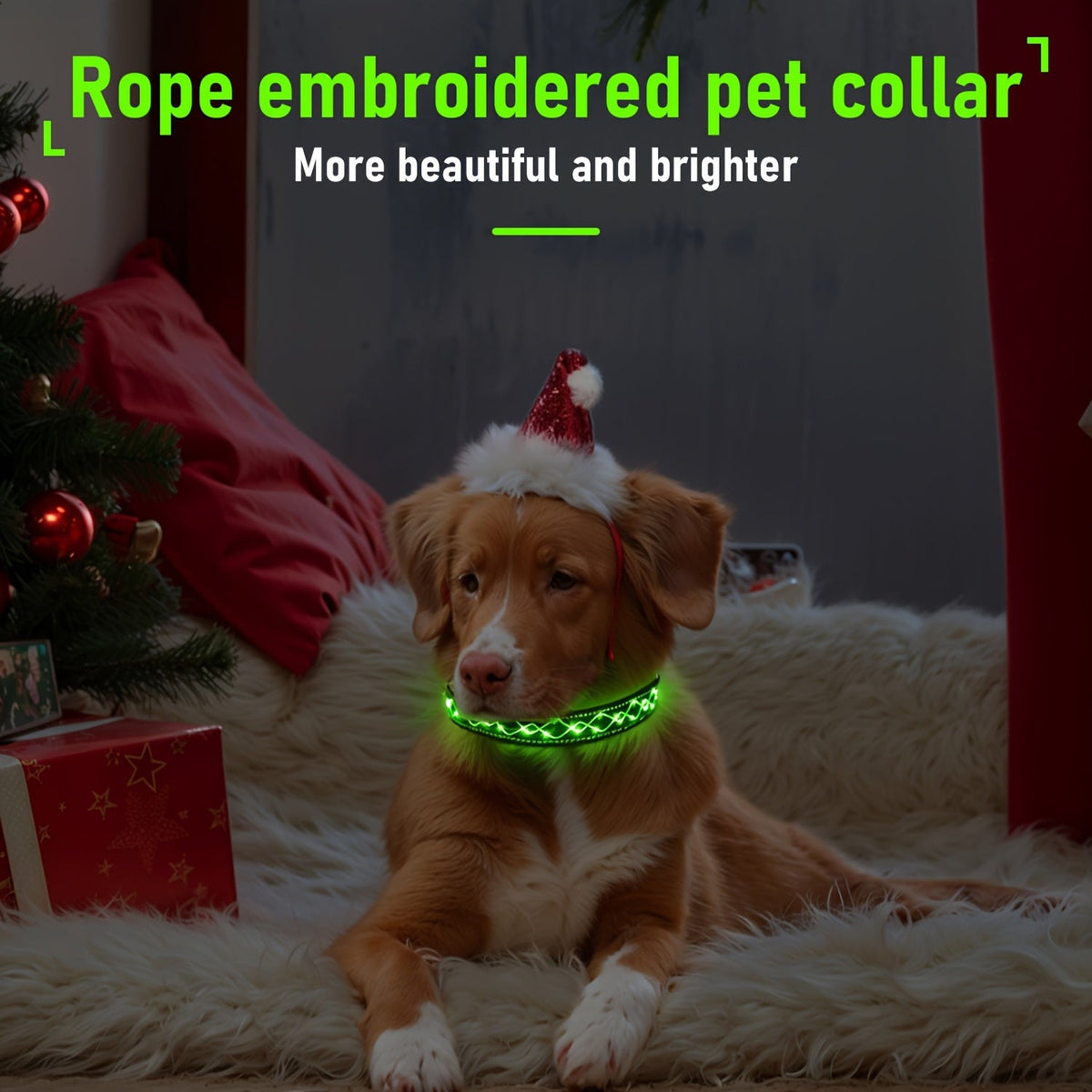 Collier pour chien à broderie LED rechargeable par USB pour la sécurité nocturne – Collier lumineux décoratif avec ajustement réglable pour chiens de petite, moyenne et grande taille, 4 couleurs, tailles S, M, L
