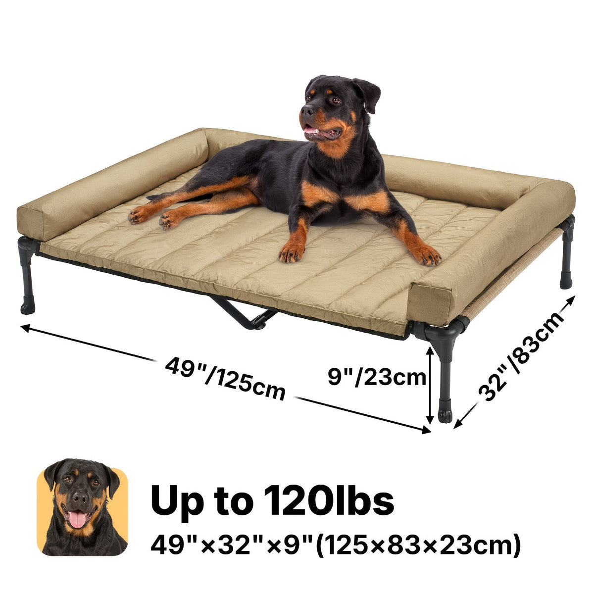 Lit surélevé rafraîchissant pour chien avec matelas amovible – Canapé pour chien surélevé avec rebords, filet respirant et pieds antidérapants pour une utilisation en intérieur et en extérieur