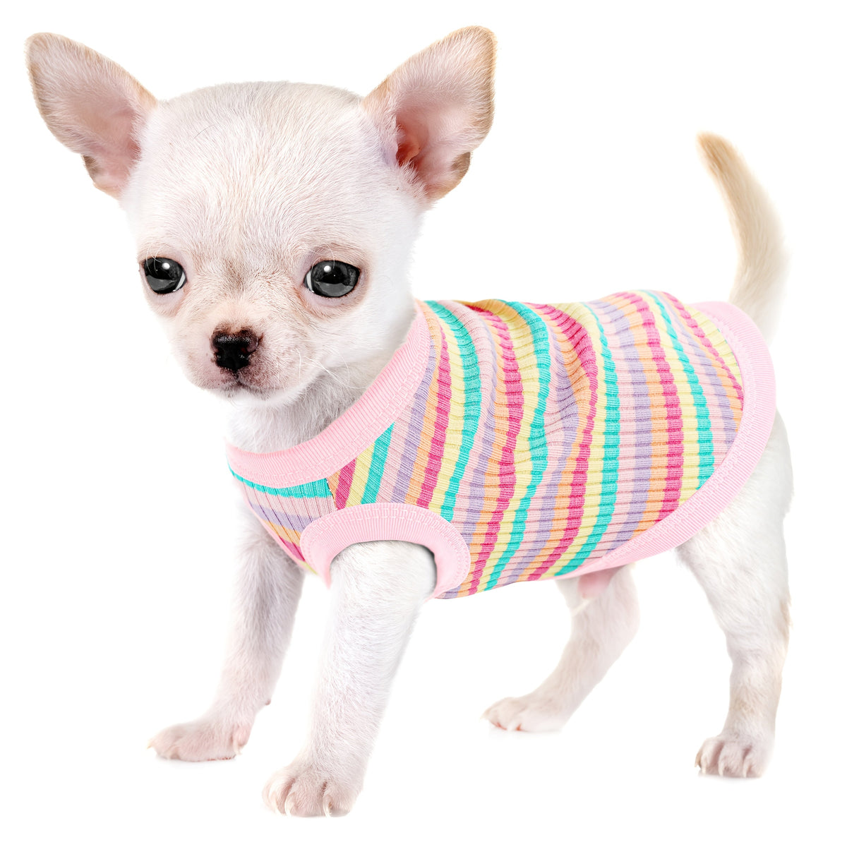 Débardeur doux à rayures côtelées pour petits chiens - T-shirt léger et respirant pour chiens de races XS à XXL, vêtement mignon disponible en 11 couleurs pour le quotidien (Chihuahua, Yorkshire, Poméranien)