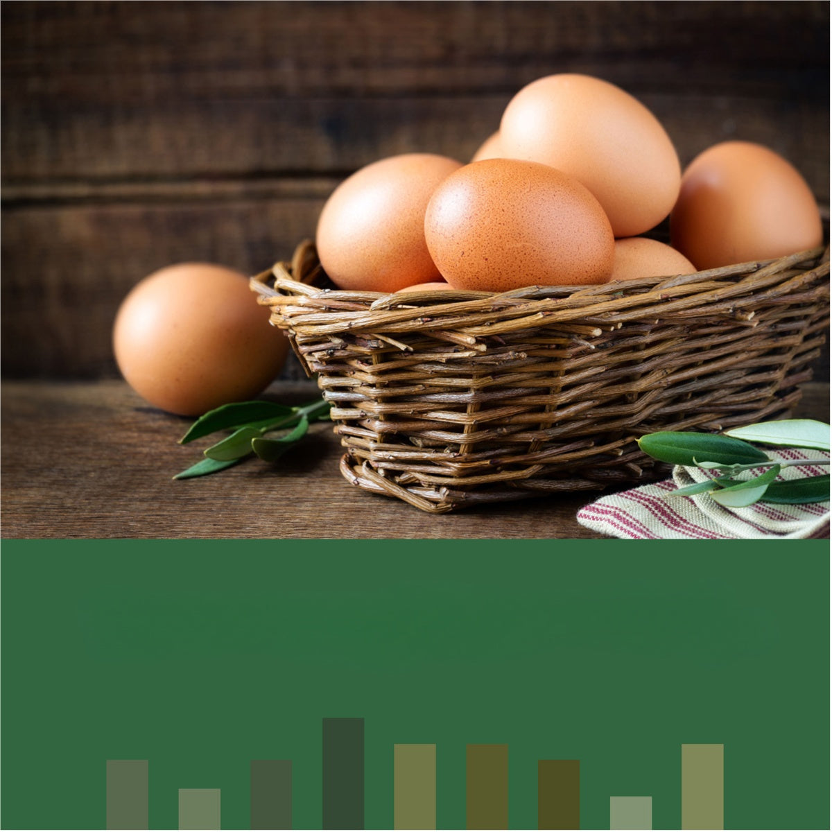 Vers de farine séchés pour poules, oiseaux sauvages et canards – Aliment naturel riche en protéines pour poules, tortues, poissons, lézards et hamsters, nourriture animale séchée sans OGM, plusieurs formats de 0,6 à 40 livres
