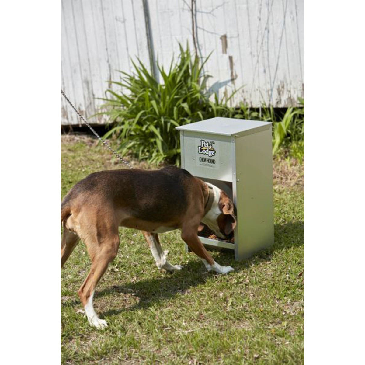 Distributeur automatique pour chien Pet Lodge 25 lb - Distributeur par gravité en acier galvanisé avec porte aimantée et goulotte inclinée, résistant à la mastication et à la rouille, montage mural pour intérieur et extérieur, argent