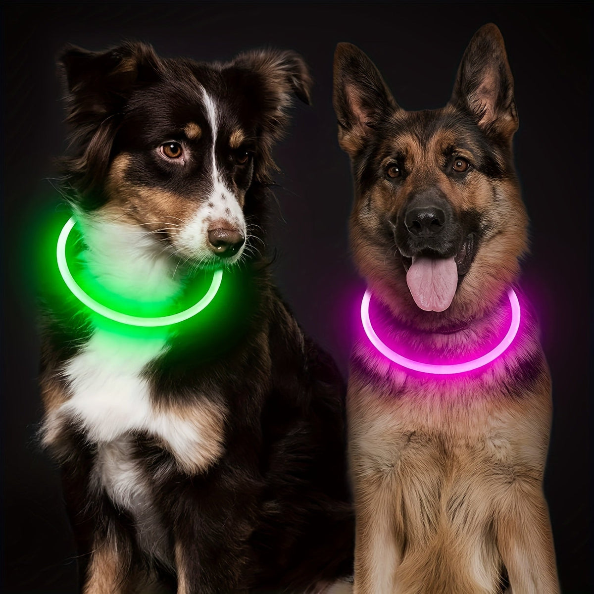 Collier pour chien à LED rechargeable par USB, collier lumineux pour la sécurité nocturne, adapté aux chiens de petite, moyenne et grande taille – Collier pour animal de compagnie étanche en PVC, phosphorescent avec chargement USB