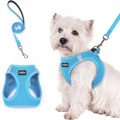 Harnais et laisse pour petits chiens et chiots - Harnais gilet respirant, réfléchissant, doux et léger anti-traction avec laisse assortie XS S M L XL