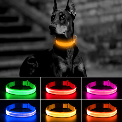 Collier lumineux pour chien à LED, rechargeable par USB - Collier de sécurité ajustable en nylon avec boucle en D pour petits, moyens et grands chiens, haute visibilité pour les promenades nocturnes