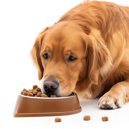 Probiotiques pour chiens, 60 gélules, formule naturelle à base de plantes, favorise la santé intestinale, la digestion et soulage les allergies saisonnières - 120 g, lot de 1 ou 2
