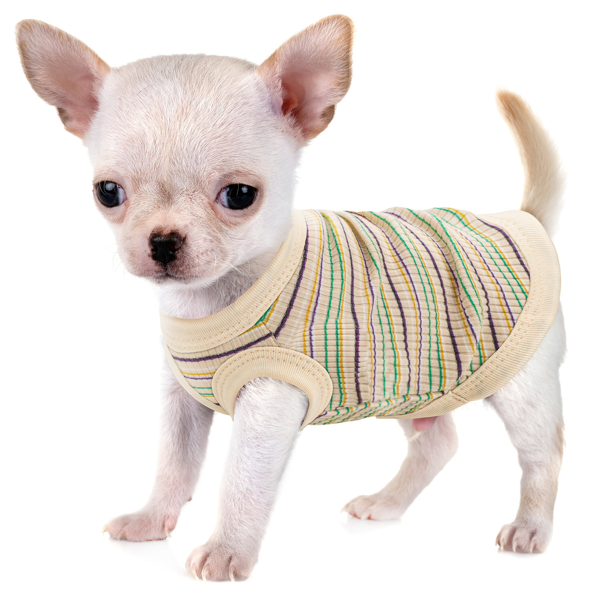 Débardeur doux à rayures côtelées pour petits chiens - T-shirt léger et respirant pour chiens de races XS à XXL, vêtement mignon disponible en 11 couleurs pour le quotidien (Chihuahua, Yorkshire, Poméranien)