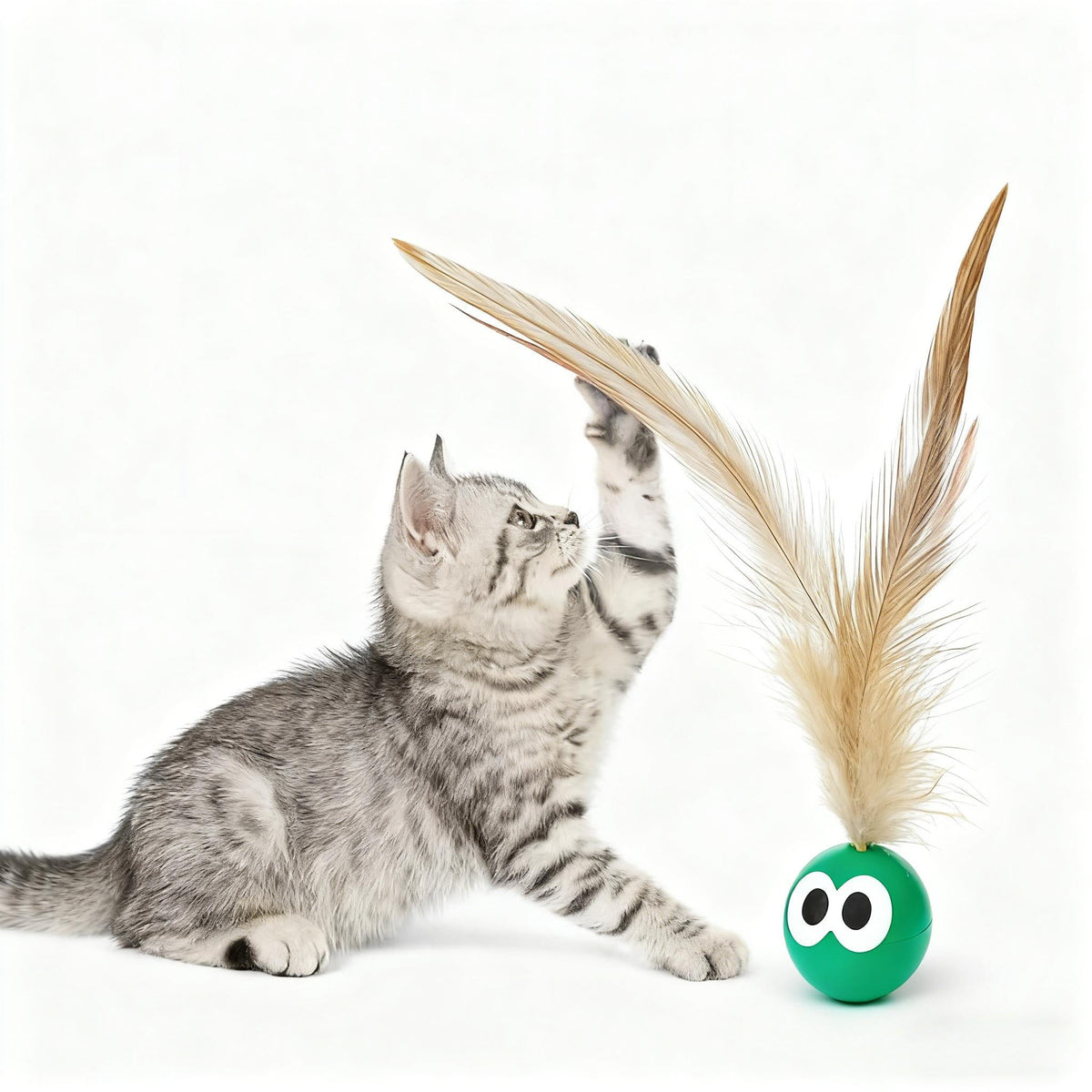 Lot de 5 balles rebondissantes pour chaton – Ensemble de jouets en plastique pour jeu autonome, chats d'intérieur et petites races, jouet interactif de chasse et d'exercice pour le développement du chaton, jouet anti-ennui pour chat