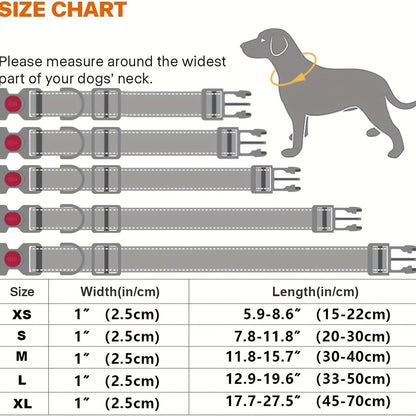 Collier pour chien réfléchissant avec boucle de sécurité verrouillable - Collier pour animal en nylon respirant, rembourré en néoprène doux et réglable pour chiens de petite, moyenne et grande taille, collier de sécurité haute visibilité nocturne