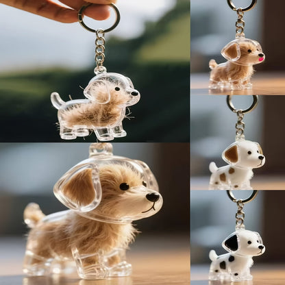 Pet Hair Keepsake Storage Box Set of 5 – Transparent Dog & Cat Fur Memorial Pendant Display Cases, Cute Pet Souvenir Jewelry Gift for Christmas, Halloween & Birthday
