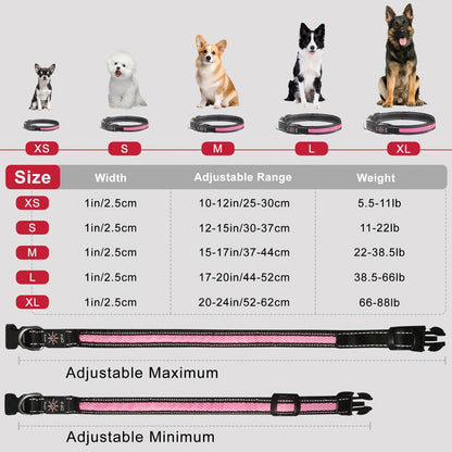 Collier pour chien à LED rechargeable par USB en maille souple – Collier de sécurité lumineux réglable pour chiens de petite, moyenne et grande taille, 5 couleurs bleu vert rose rouge jaune, tailles XS à XL pour les promenades nocturnes