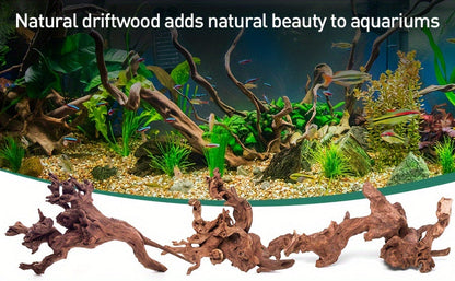 Bois flotté naturel à couler pour décoration d'aquarium – Lot de 3 grandes pièces en bois véritable pour aquarium d'eau douce, reptile et terrarium, bois flotté de teck violet sans danger pour les poissons