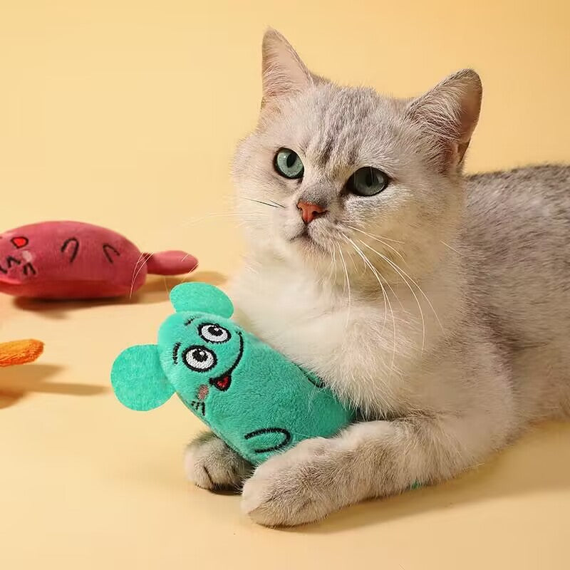 Jouet en peluche interactif pour chat, jouet à mâcher pour le nettoyage des dents, jouet pour chat et petite race, sans pile, couleur aléatoire, style herbe à chat douce