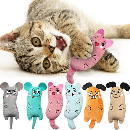 Jouet en peluche interactif pour chat, jouet à mâcher pour le nettoyage des dents, jouet pour chat et petite race, sans pile, couleur aléatoire, style herbe à chat douce