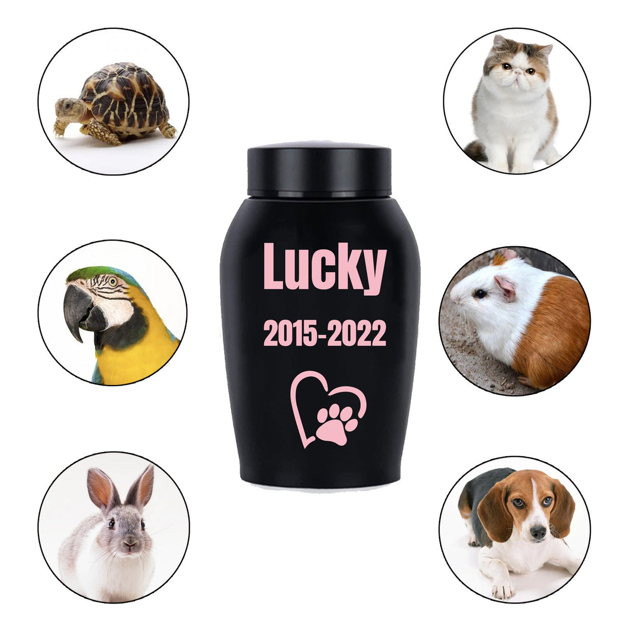 Urne funéraire personnalisée pour animaux – Urne de crémation en acier inoxydable pour chiens et chats avec couvercle à vis, souvenir commémoratif personnalisé pour animaux bien-aimés