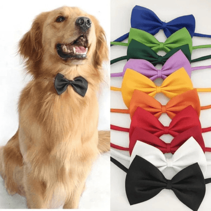 Collier avec nœud papillon réglable pour chiens et chats - Nœud papillon chic et durable en polyester, convient à un tour de cou de 25 à 40 cm, accessoire élégant pour petits, moyens et grands animaux, idéal pour les fêtes, les photos et les vacances